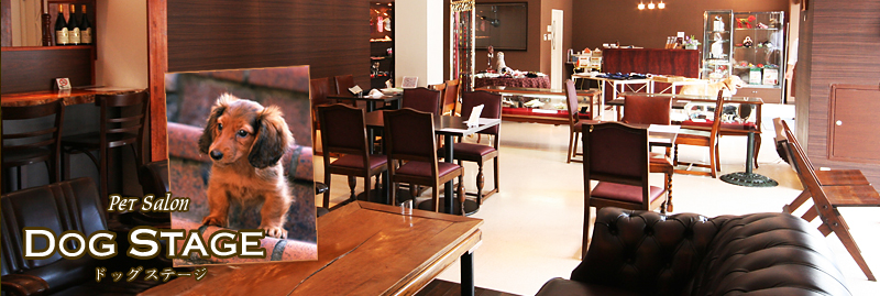 ペットサロンドッグステージ
