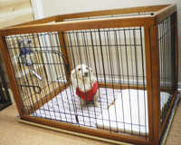 ���������̃z�e��